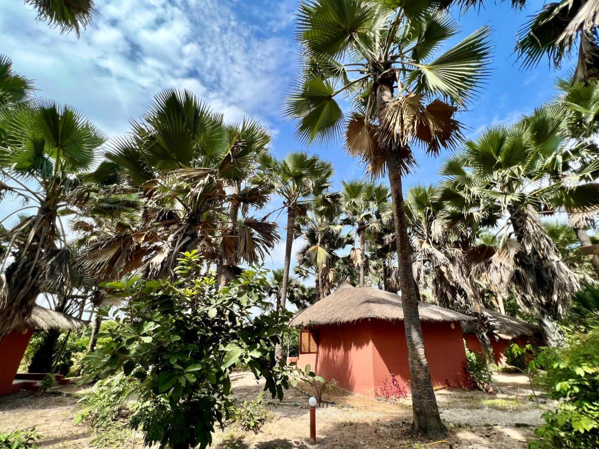 Nemasu Eco-Lodge Gunjur 외부 사진