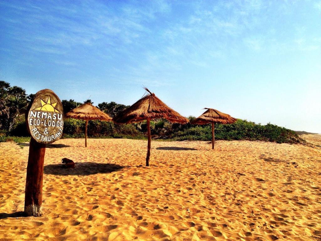 Nemasu Eco-Lodge Gunjur 외부 사진